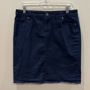 Zara Navy Blue Skirt Size 10